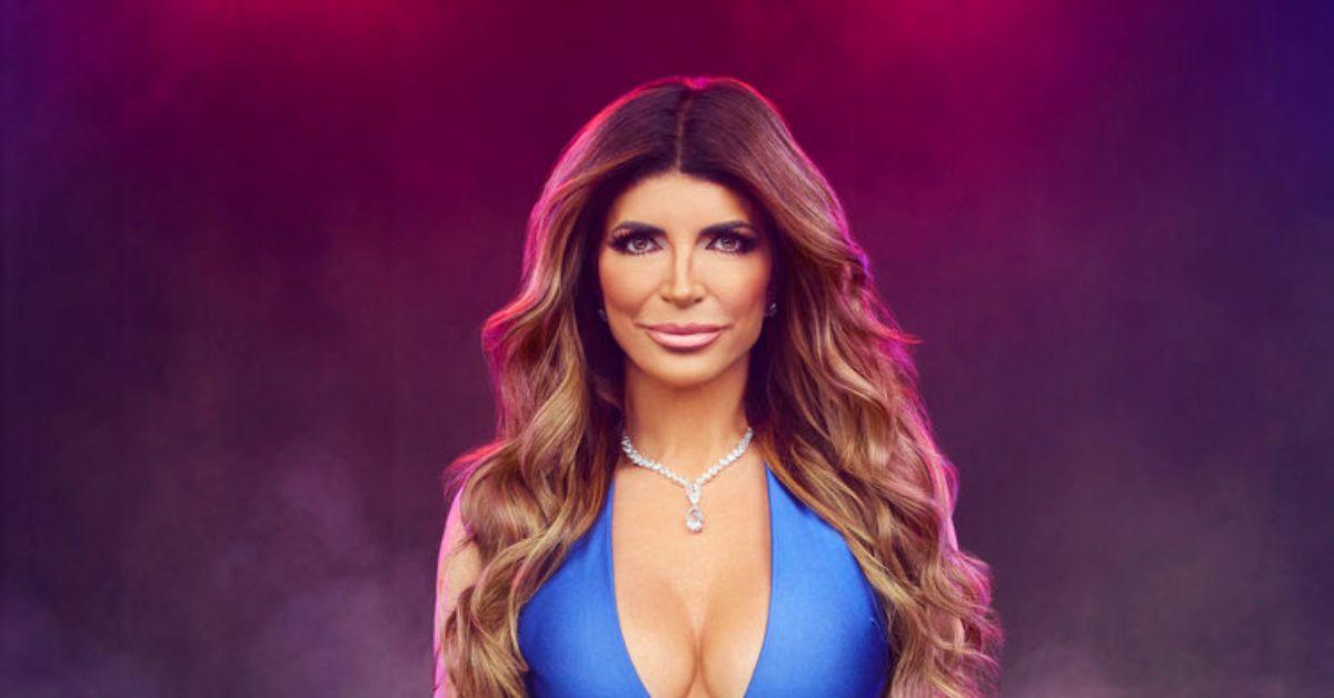 Photo of 'RHONJ' was put on pause after a contentious season between Teresa Giudice and Melissa Gorga where the pair refused to interact with one another. 