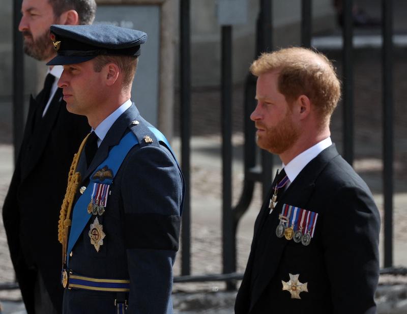 prince william harry truce