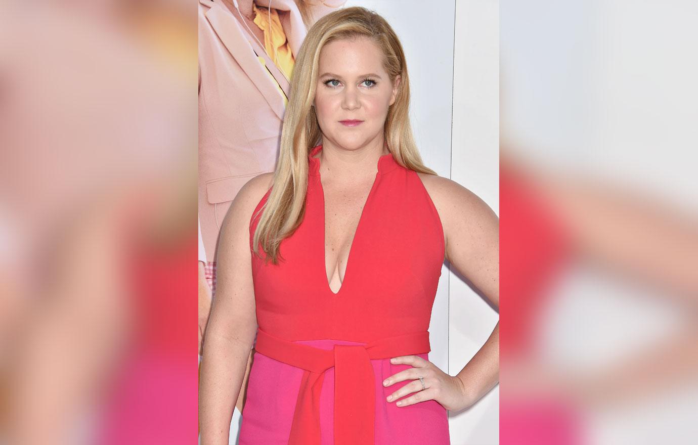 Amy Schumer In Pink Sleeveless Dress amy schumer pregnant ivf