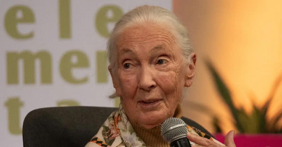 Image of Jane Goodall's cause of death was cardiac arrest.