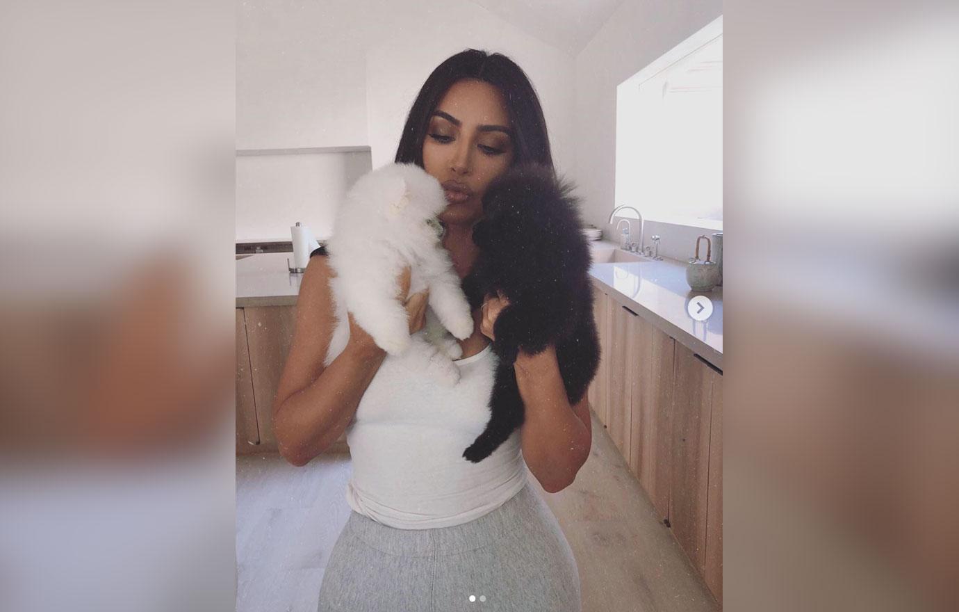 Kim Kardashian Slammed Buying 2 New Pomeranian Puppies