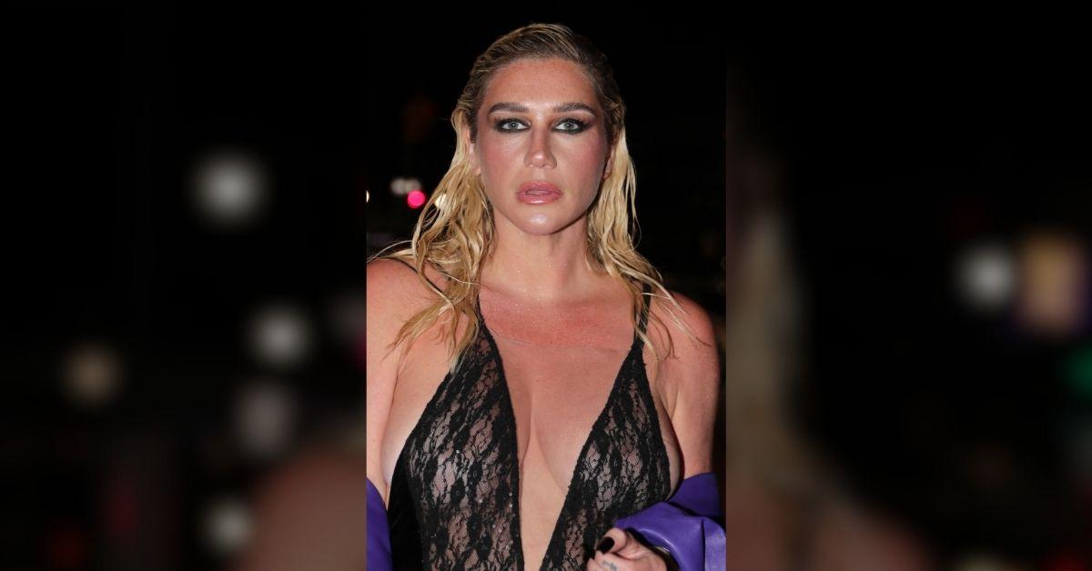Image of Kesha recently wore a sheer and leather look.