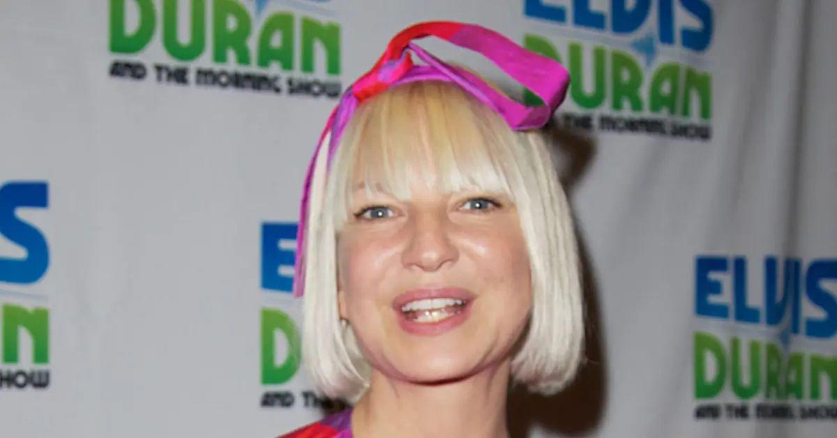 Photo of Daniel Bernard asked for sole custody of his son with Sia.