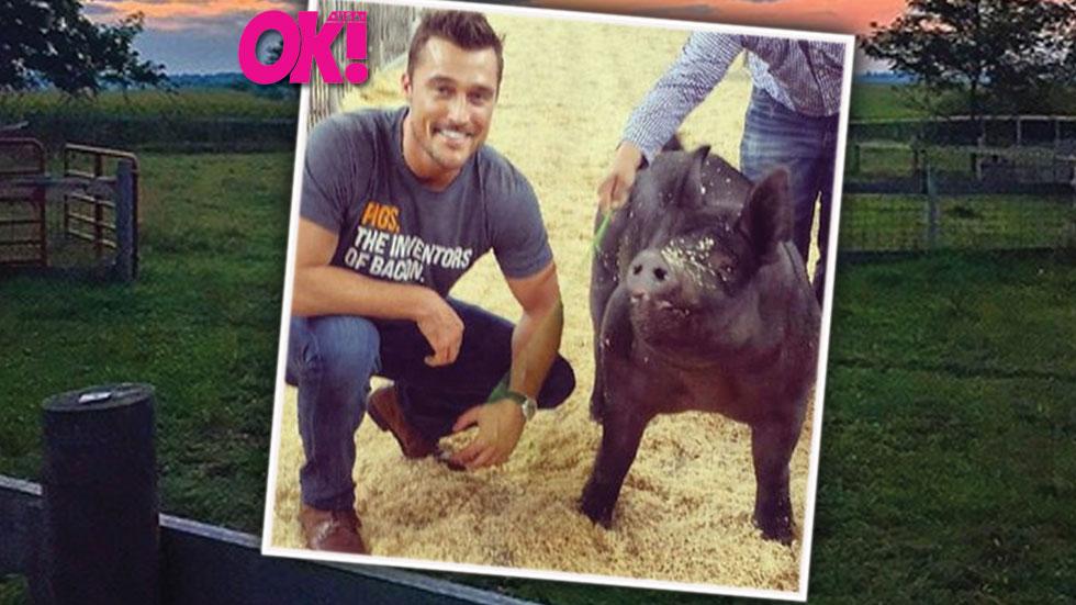 Chris soules pig farmer of the year (1)