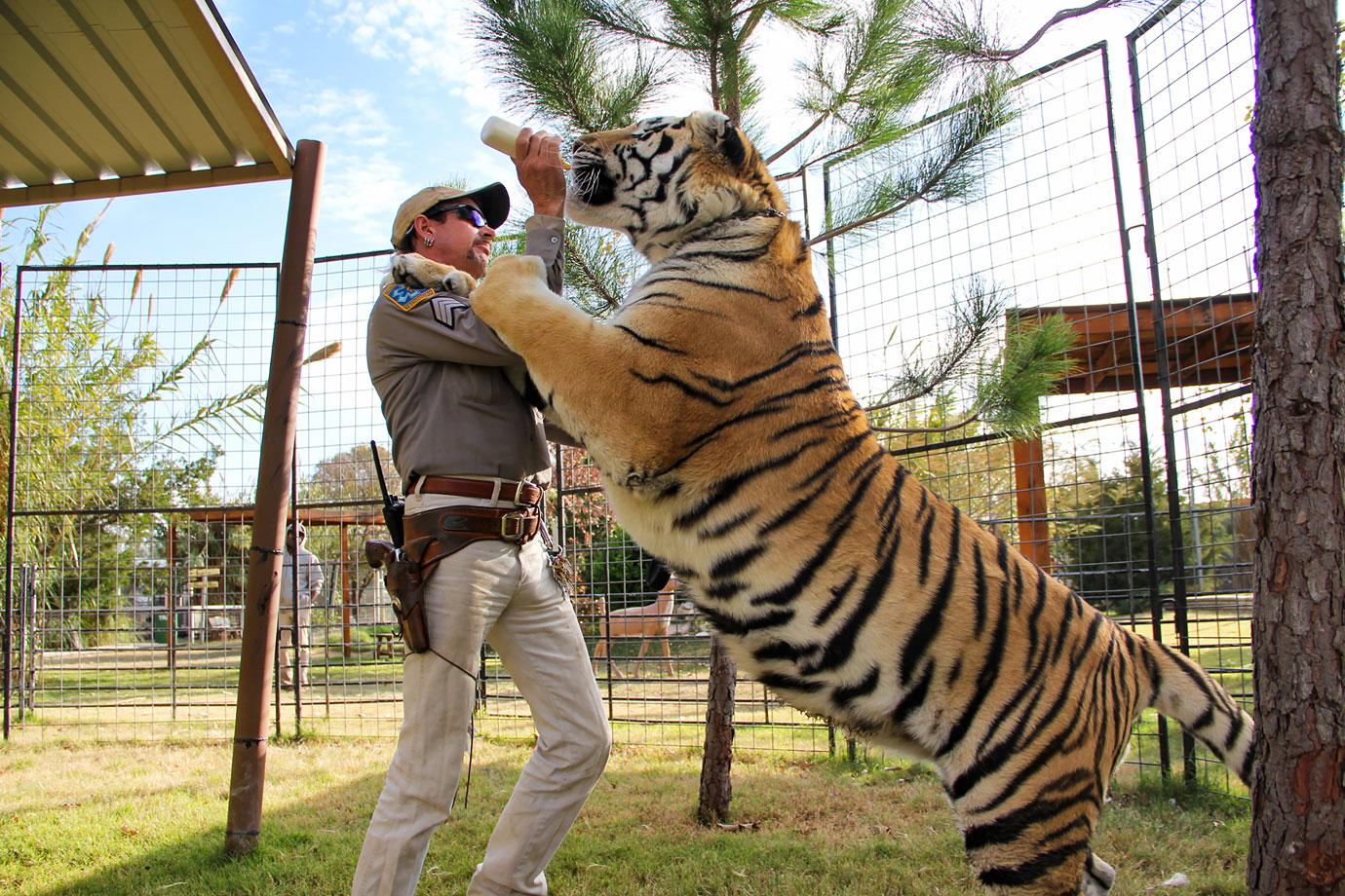 tiger king joe exotic cancer spreading stomach pelvis prison