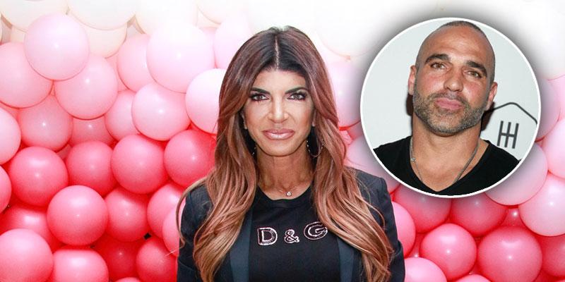 teresa giudice deportation expensive