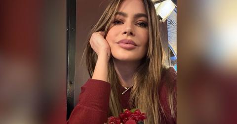 sofia vergara split justin saliman split