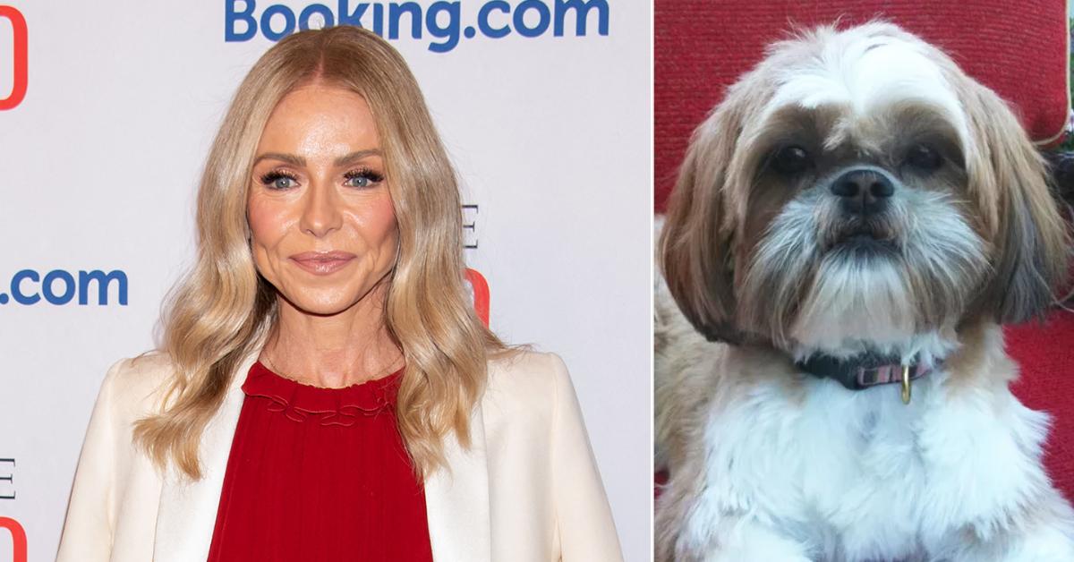 kelly ripa thinks mark consuelos looks like rottweiler dog live watch