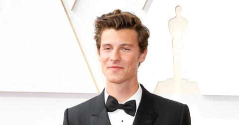 shawn mendes flaunts abs