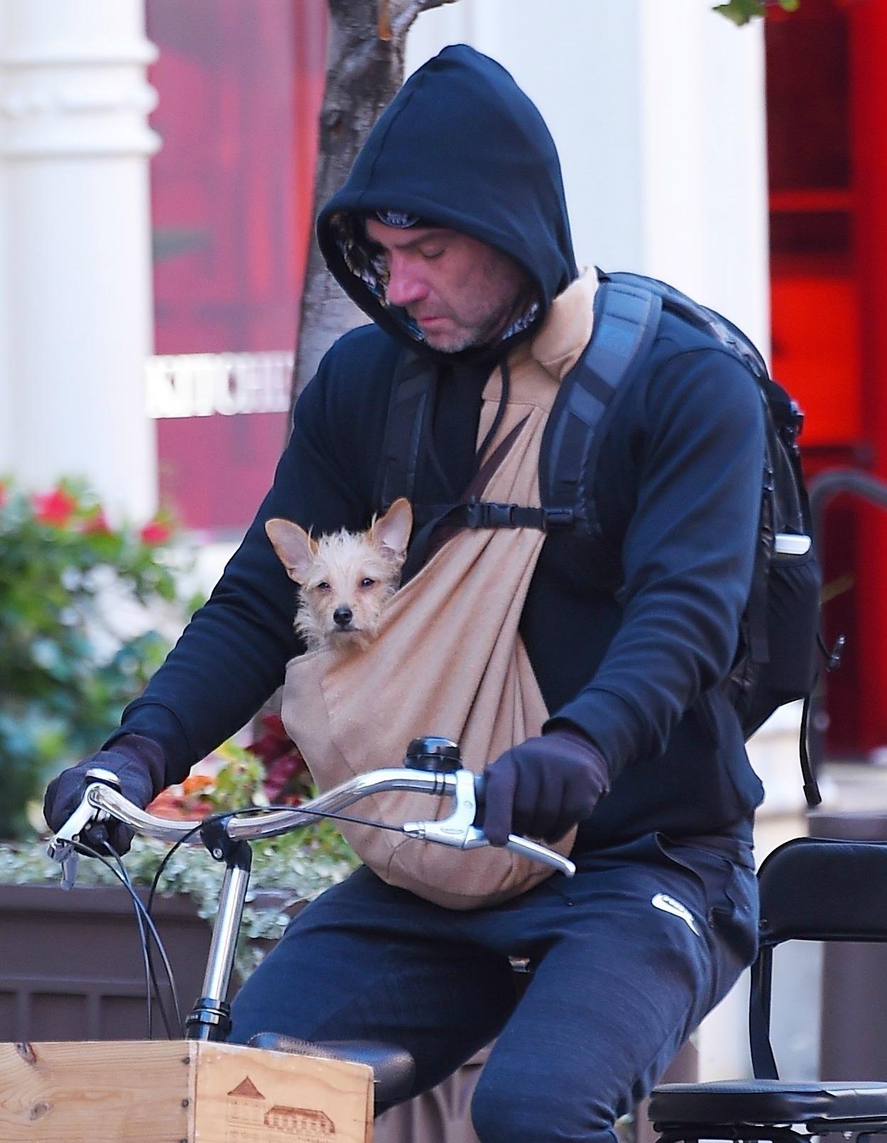 liev schreiber protecting dog cold pics 05