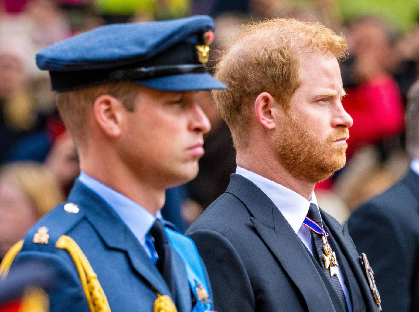 prince harry prince william