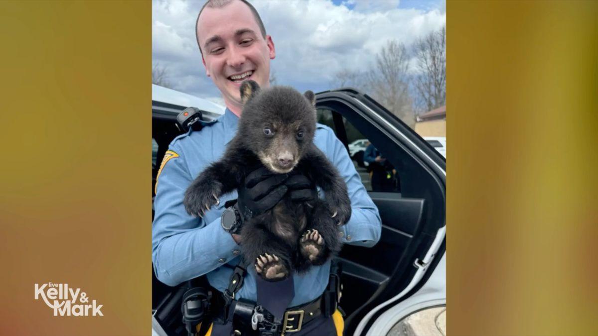 Image of Kelly Ripa reacted to a viral photo of a bear cub being rescued in New Jersey.