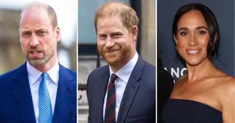 prince harry meghan markle uk return monarchy risks