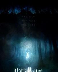 2010__11__harry_Potter_hallows_nov17 203×300.jpg