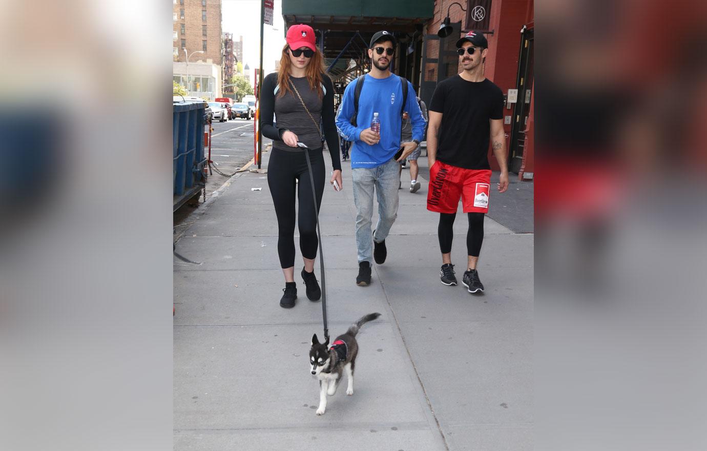 Joe Jonas Sophie Turner cute new puppy