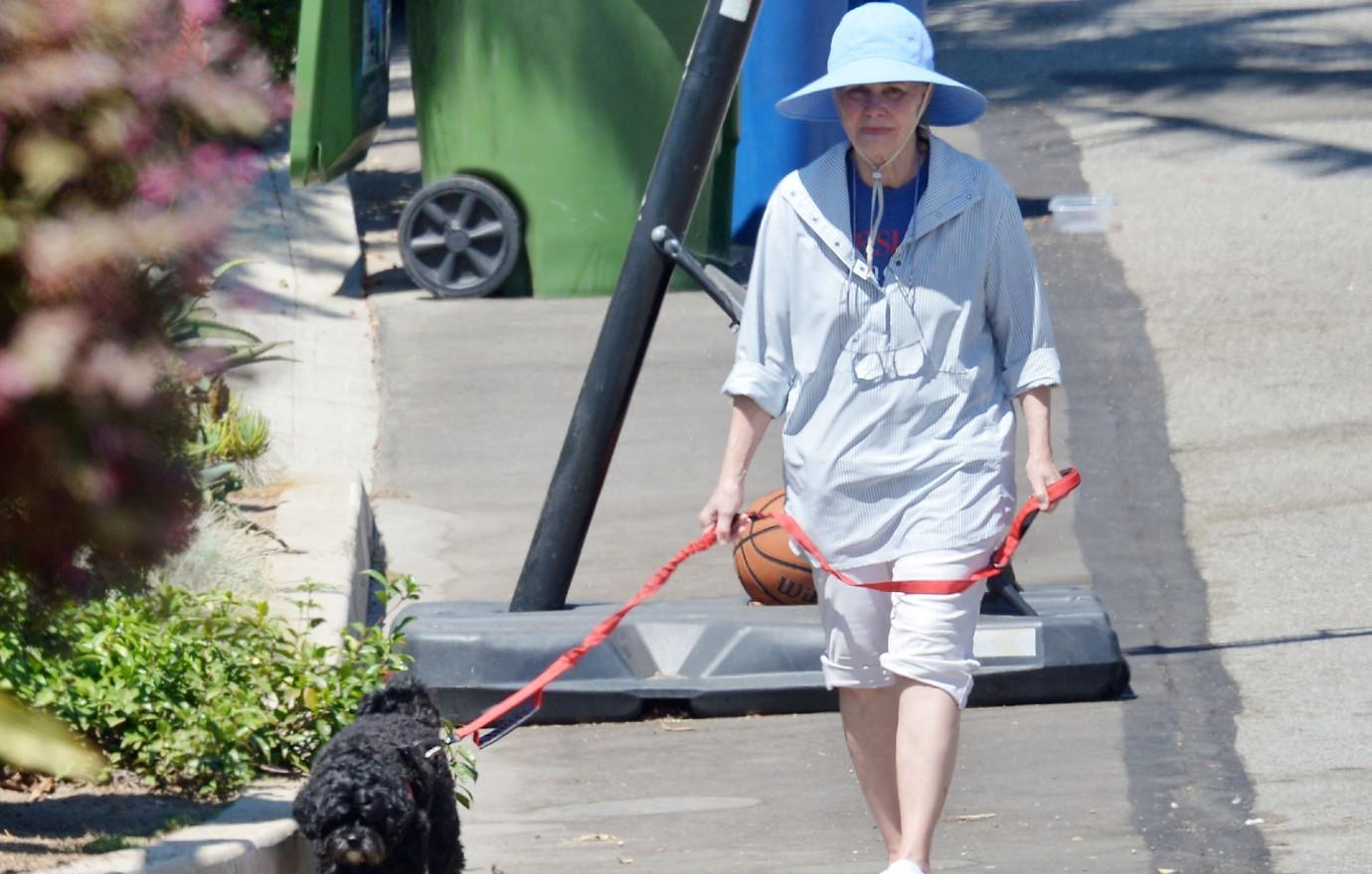 sally field looks unrecogniseable walking dogs