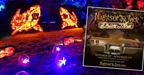 'Nights Of The Jack' Halloween Jack O'Lantern Celebration Returns