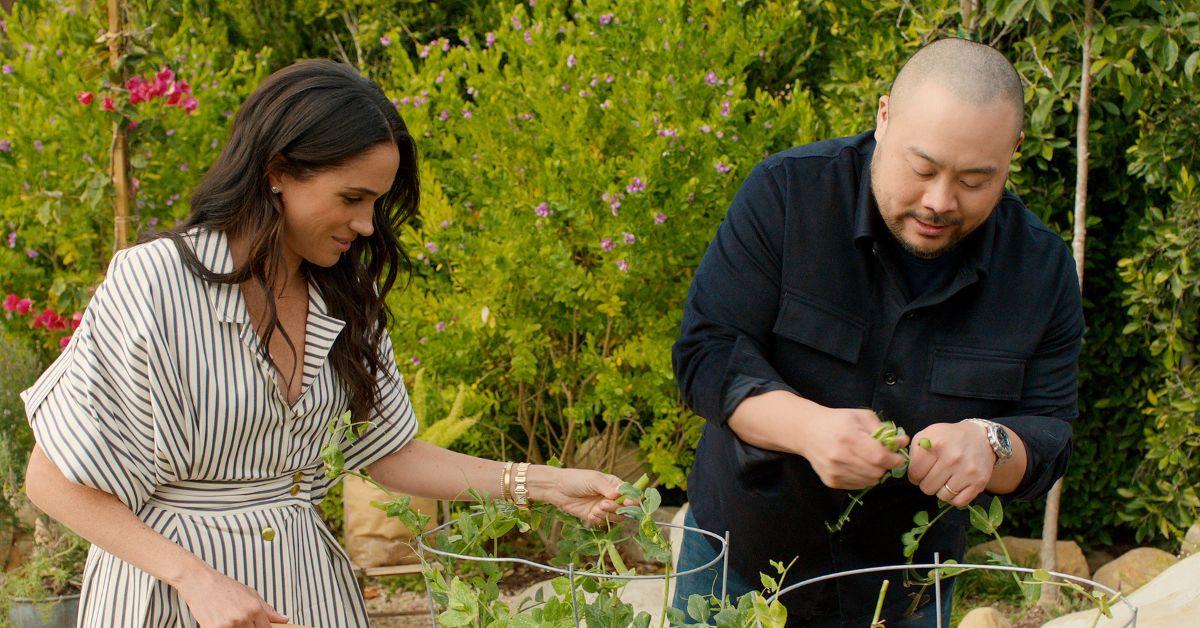 with love meghan season guests trailer release date