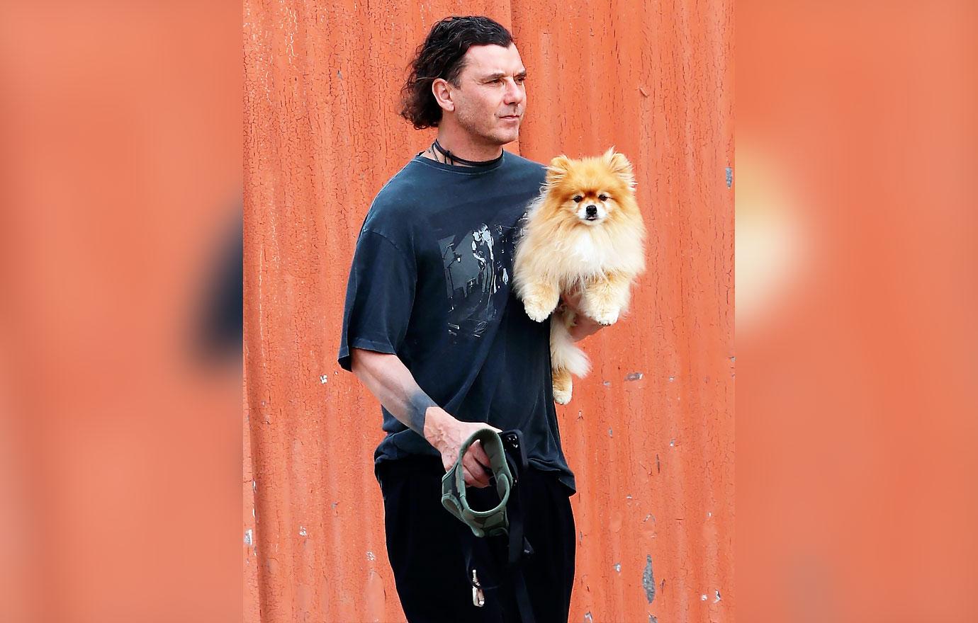 gavin rossdale walks his dog in the park blake shelton gushes holiday plans with gwen stefani