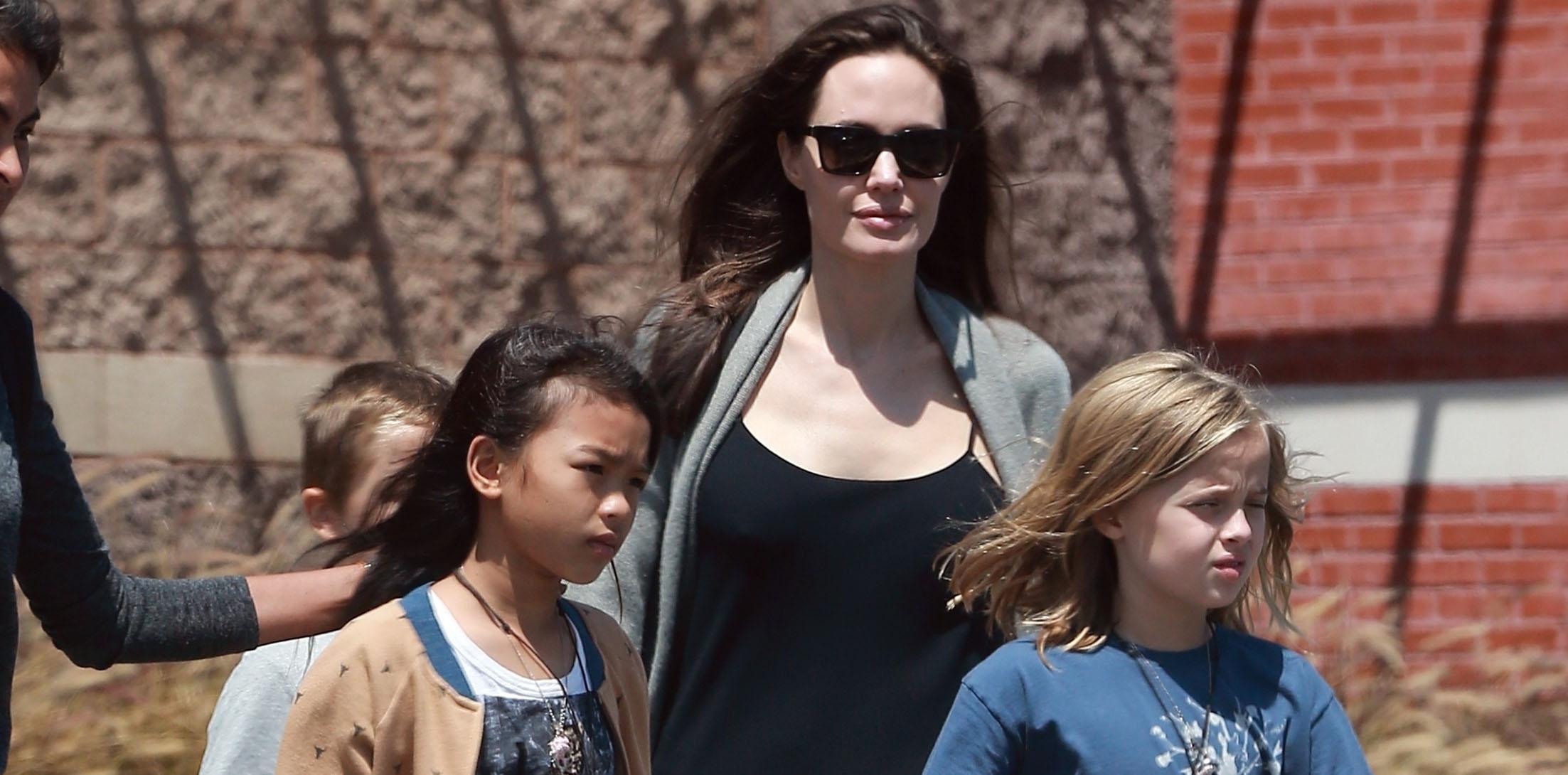 Angelina jolie crazy household