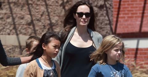 Angelina jolie crazy household