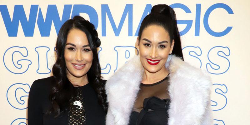 Nikki Bella And Brie Bella Announce Partnership With Monster Energy