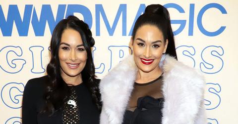 Brie Bella Nikki Bella