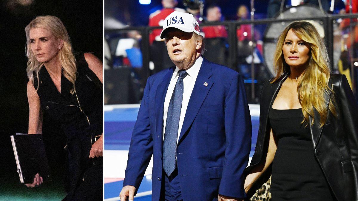 Image of Donald Trump reportedly dismissed concerns about Natalie Harp, saying, 'Nonsense... she just loves her president.'