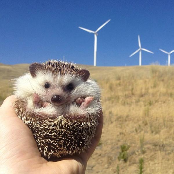 The 14 Coolest NonCelebrity Instagram Accounts to Follow