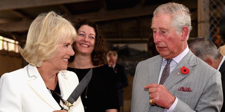 Royal Scandal! Prince Charles CAUGHT Cheating On Camilla