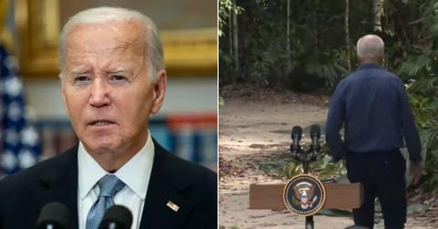 Photo of Joe Biden and an image of him in the Amazon Rainforest