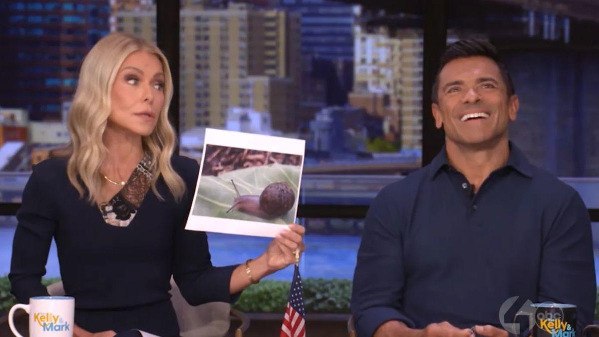 Image of Kelly Ripa showed 'Live' viewers a snail who is 'doomed to have no love life' because of his 'rare shell.'