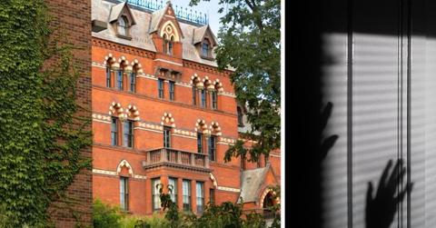 Image of Cornell University and lurking invader