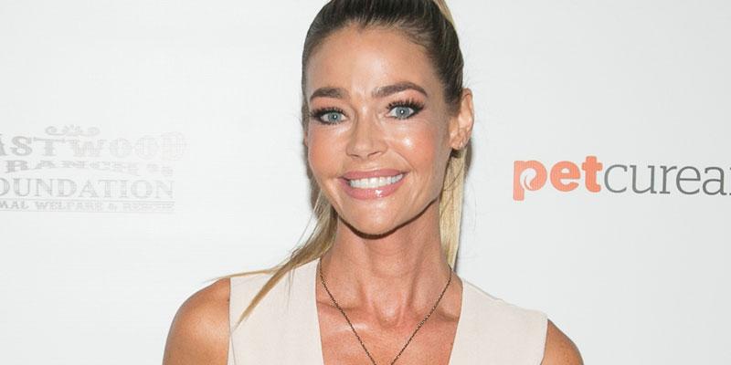 Denise richards real housewives pp