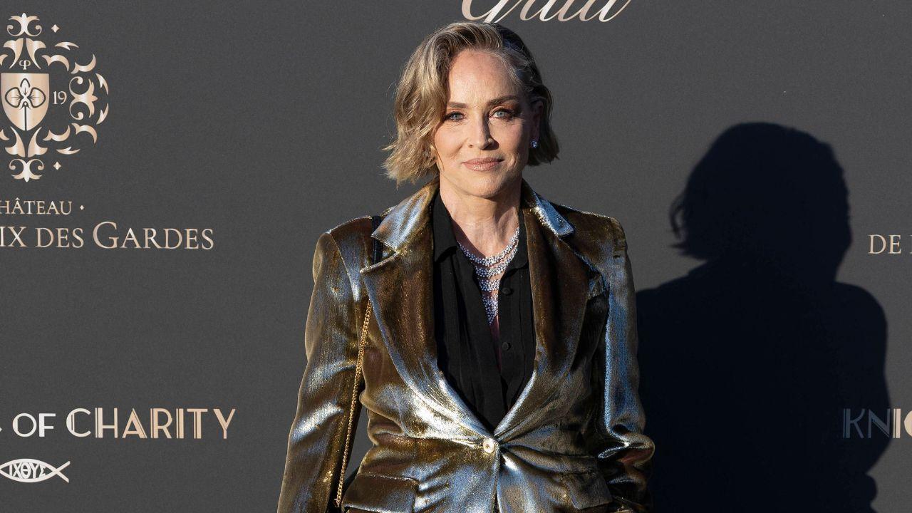 Image of Sharon Stone criticized the campaign's approach to women's sports while explaining why she understands the backlash.