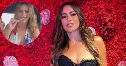 Photo of Sofía Vergara