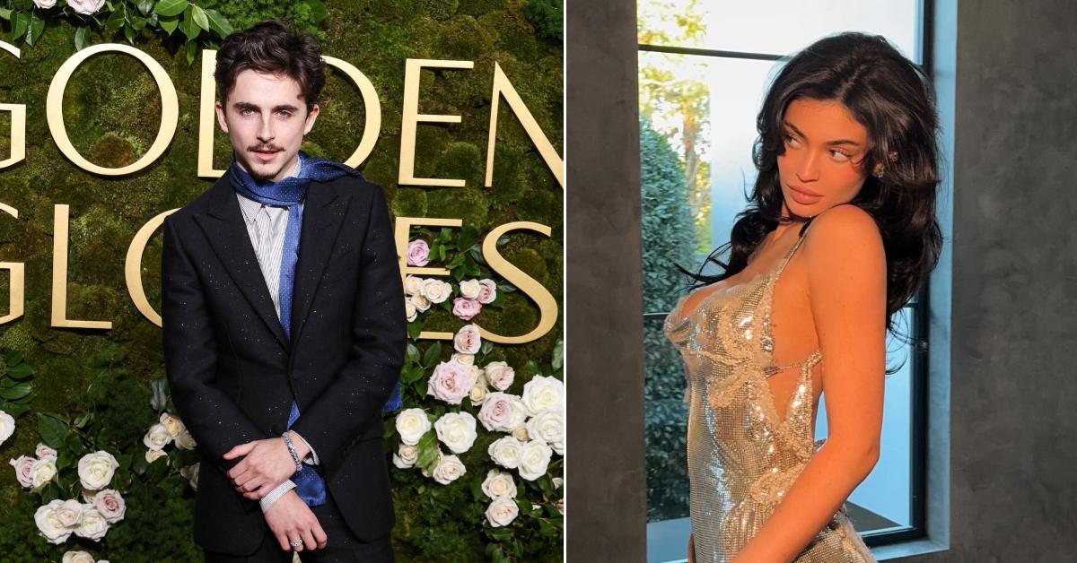 Photo of Timothée Chalamet; picture of Kylie Jenner.