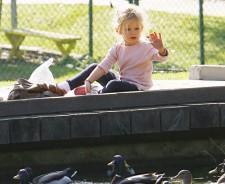 2009__11__vi6 225×184.jpg