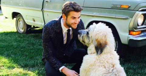 Screen Shot 2017 09 13 at Top Celebrity Pictures With Their Dogs Photos hero