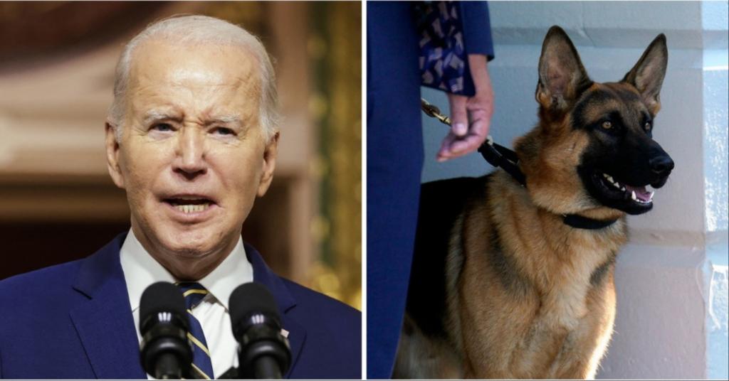 Joe Biden's Dog Attacks Secret Service Agent, Bites 6 Others