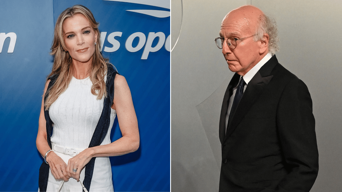 Megyn Kelly;Larry David 