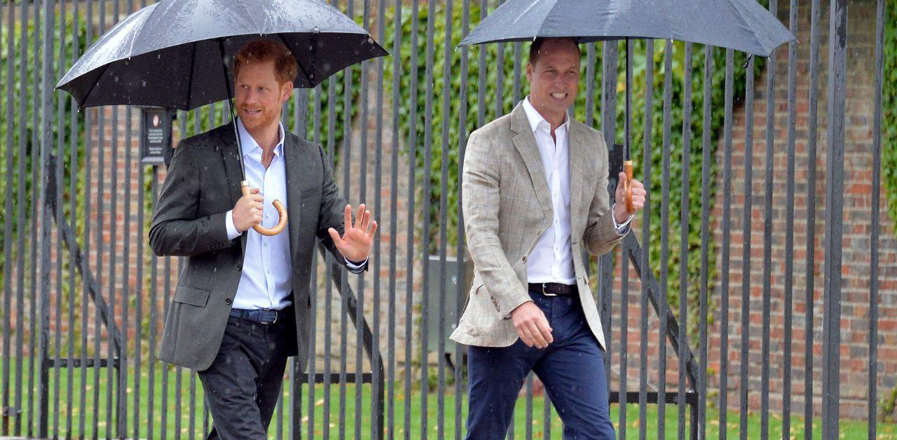 prince william feels lost prince harry army therapists