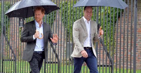 prince william feels lost prince harry army therapists