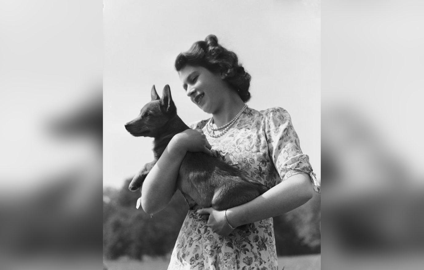 //Queen elizabeth II dogs photos