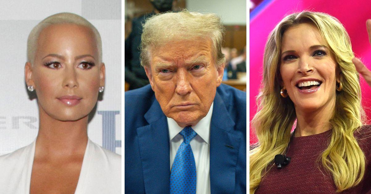 Celebrities Who Are Voting For Donald Trump Amber Rose, Megyn Kelly