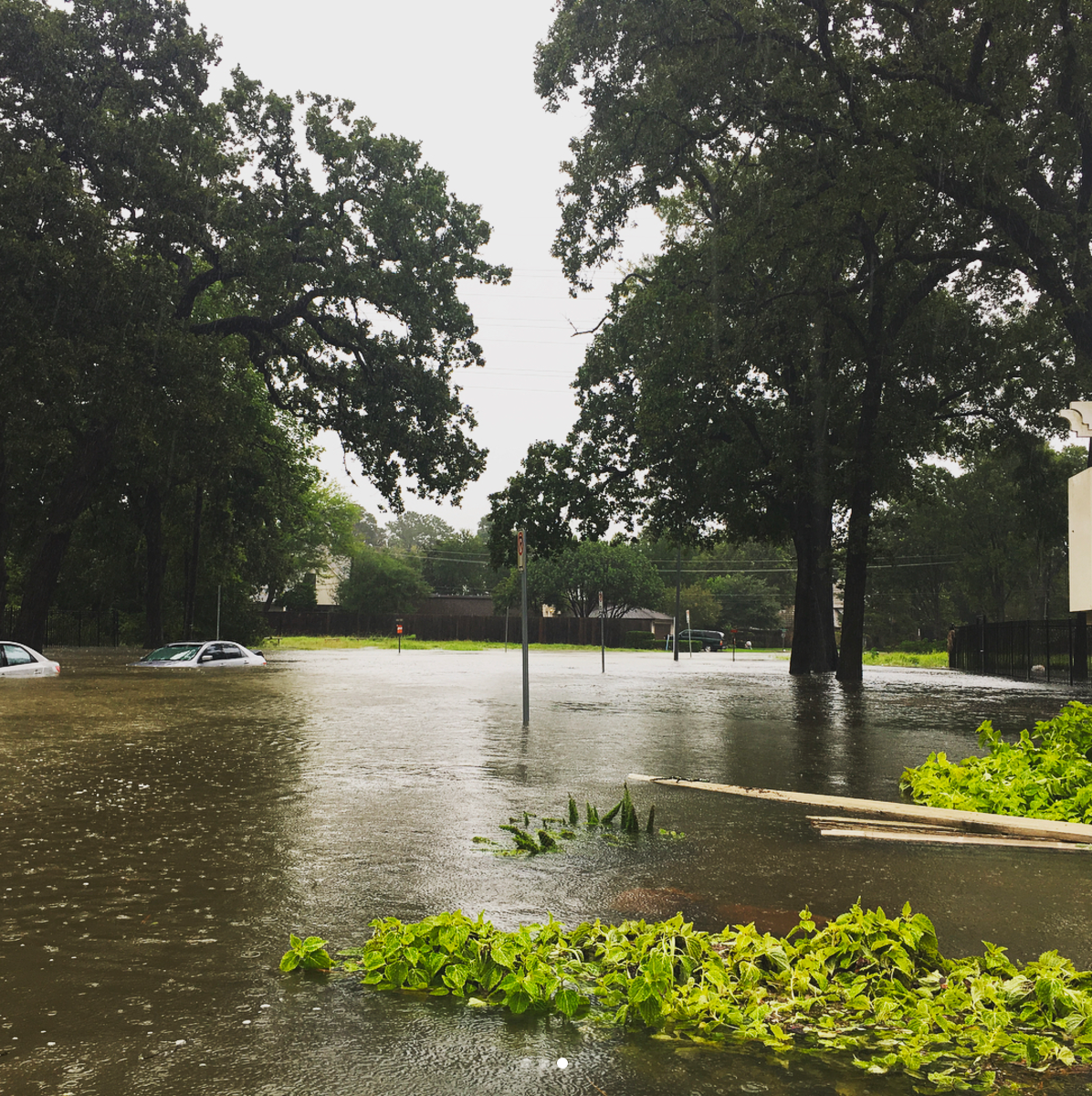 Bachelor Alum Sean Lowe Drives Boat Through Houston To Save Harvey Victims2