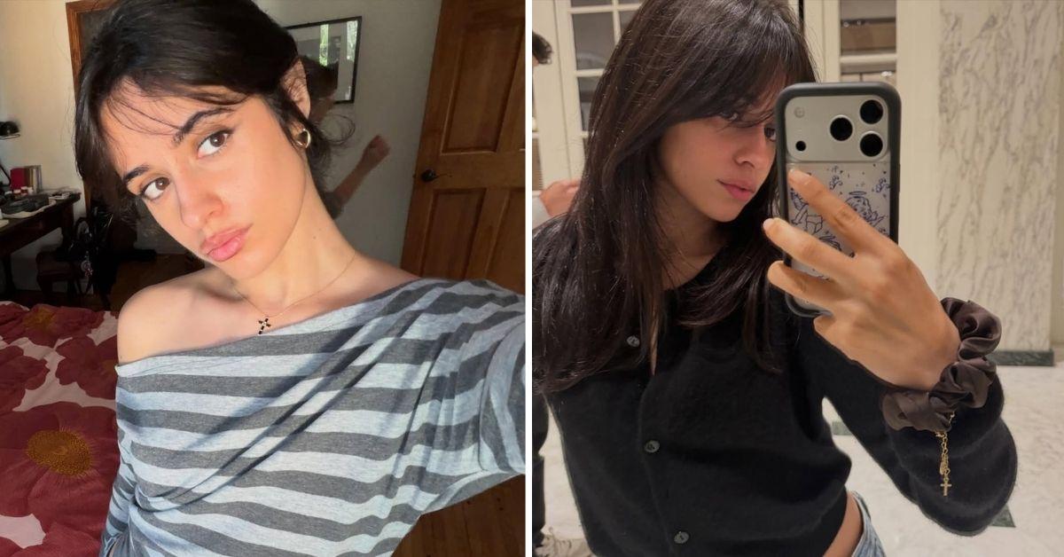 image of The singer referenced her brunette hair after her 'bleachgate' phase.