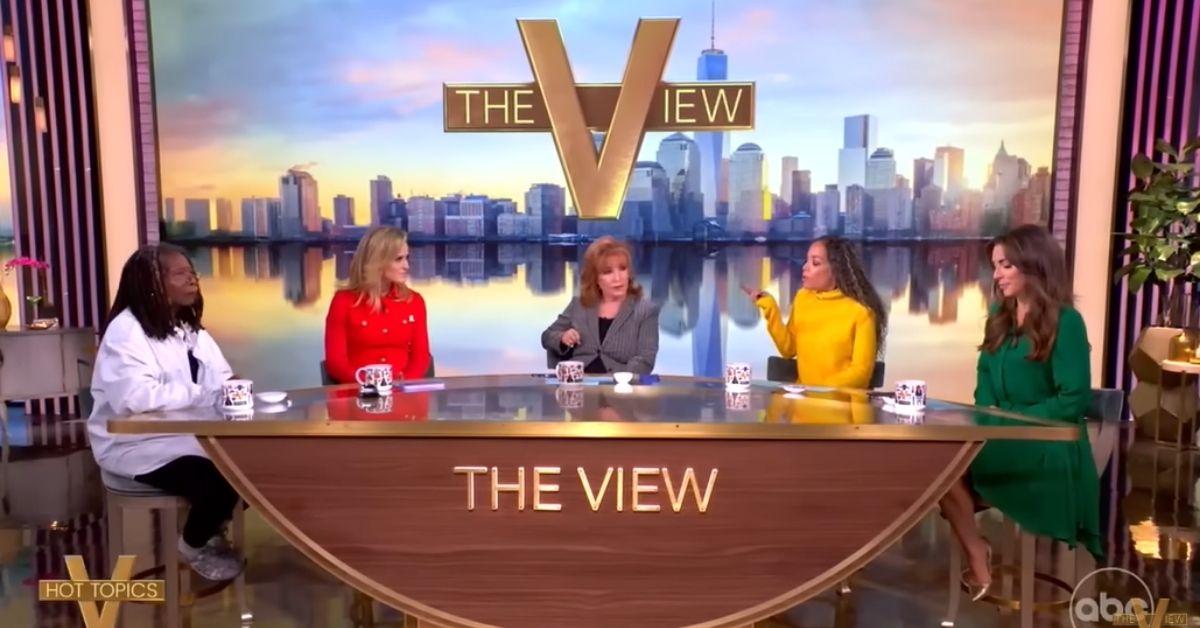 Photo of 'The View' Cohosts