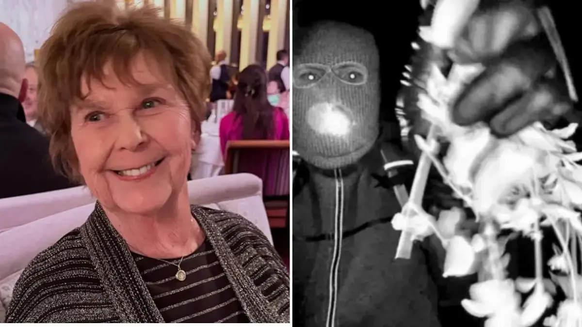 split of Nancy Guthrie, intruder. 