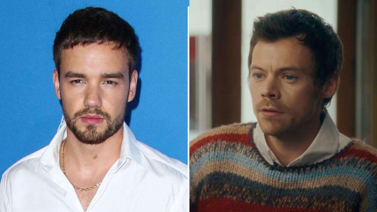 split image of Liam Payne and Harry Styles